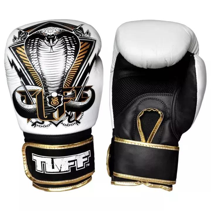 这些事儿都不知道还好意思说自己是拳迷？