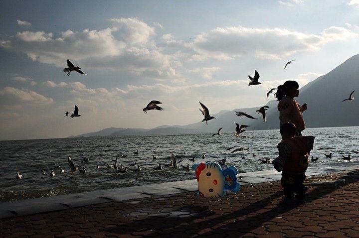 深水炸弹小说完结,深水爆破小说