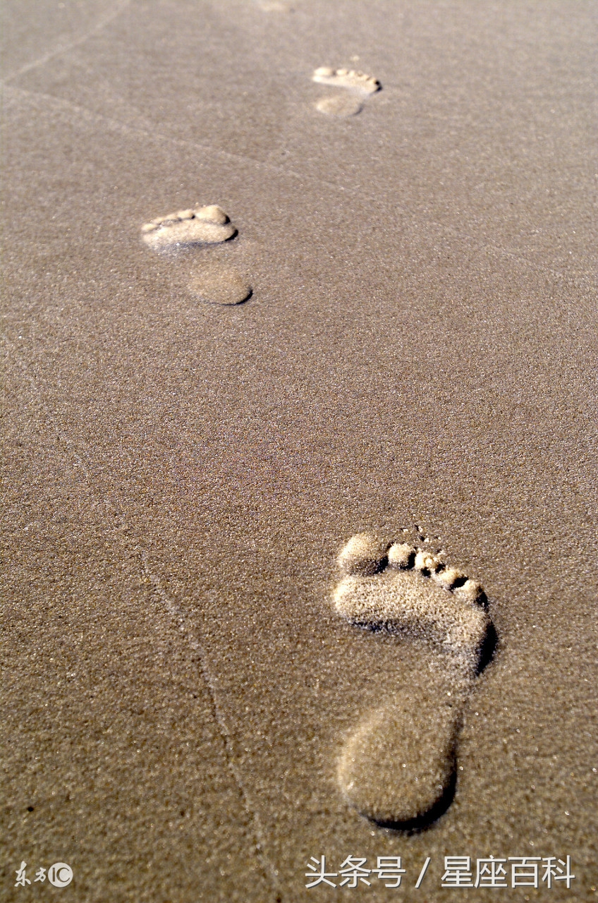 十二星座的农历生日和阳历生日,十二星座是看生日还是看出生日期