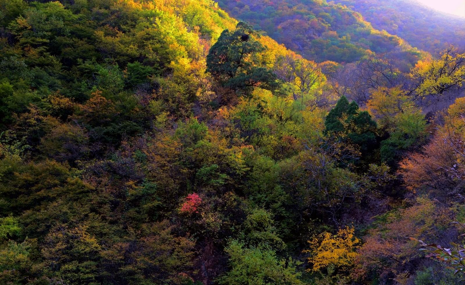 燕国和燕山有什么区别,何处古代怎么翻译