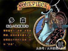 海贼王里一共出现过多少人物(四)(超新星等)