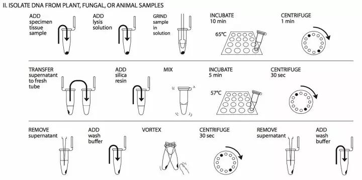 蓝鳍金枪鱼品质鉴别,真假蓝鳍金枪鱼