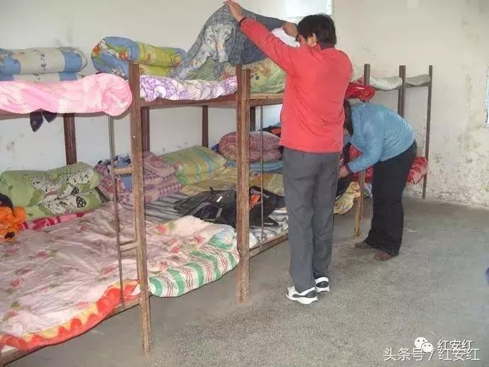 忆母校峥嵘岁月稠,忆母校风华正茂