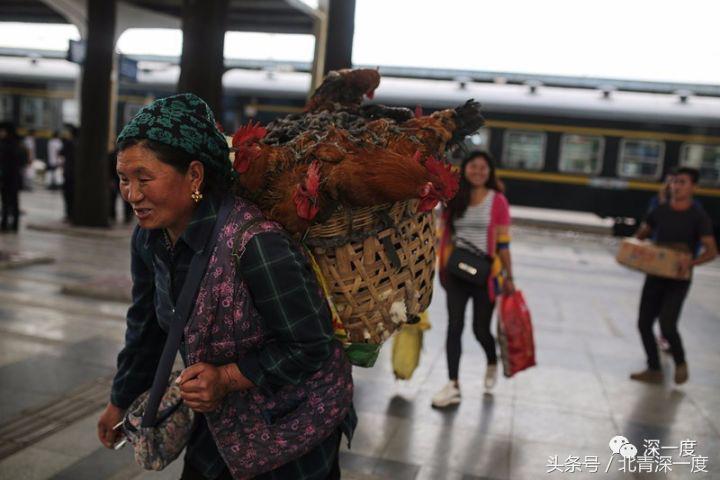 全中国最便宜的火车：票价2元起22年未涨，山羊和鸡群都能上车