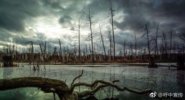 对不起我要去学校了模板,对不起我要去天津了