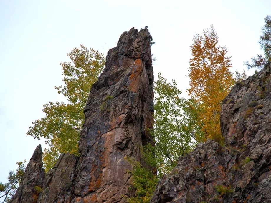对不起我要去学校了模板,对不起我要去天津了