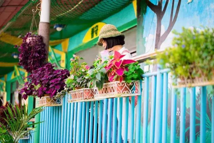 世界第二大薰衣草庄园,亚洲最大的薰衣草庄园