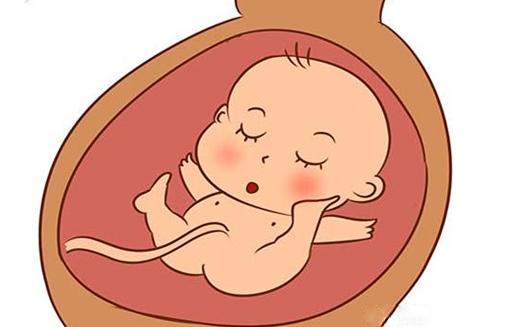 孕妈在睡觉的时候胎儿在干什么,孕妇睡觉胎儿也会睡觉吗