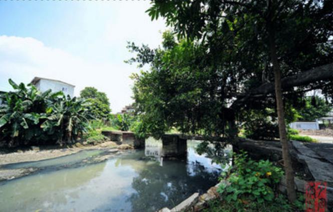 广州市花都区，一个不被广州人认同的区，你们为什么来花都（二）