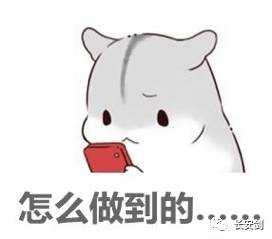 十九届首场记者会,十九大记者会视频