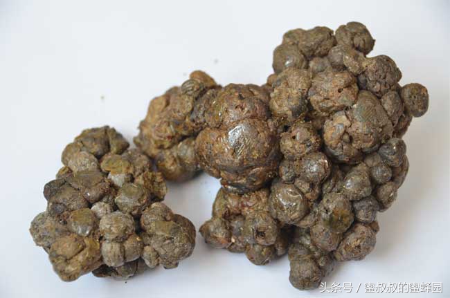 进口的蜂胶是真蜂胶吗,哪些牌子的蜂胶是真的好的