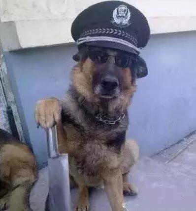 石家庄高中放假时间2022寒假通知,石家庄高校寒假放假最新通告