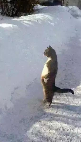 石家庄高中放假时间2022寒假通知,石家庄高校寒假放假最新通告