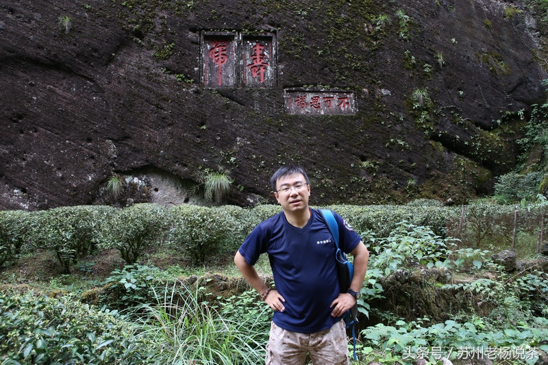 老杨说茶最新视频,老杨说茶岩茶