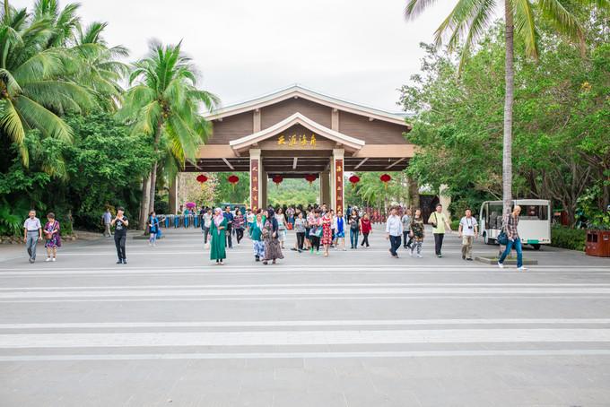 预支一段未来的旅行,带着父母去度假——三亚