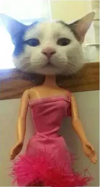 石家庄高中放假时间2022寒假通知,石家庄高校寒假放假最新通告