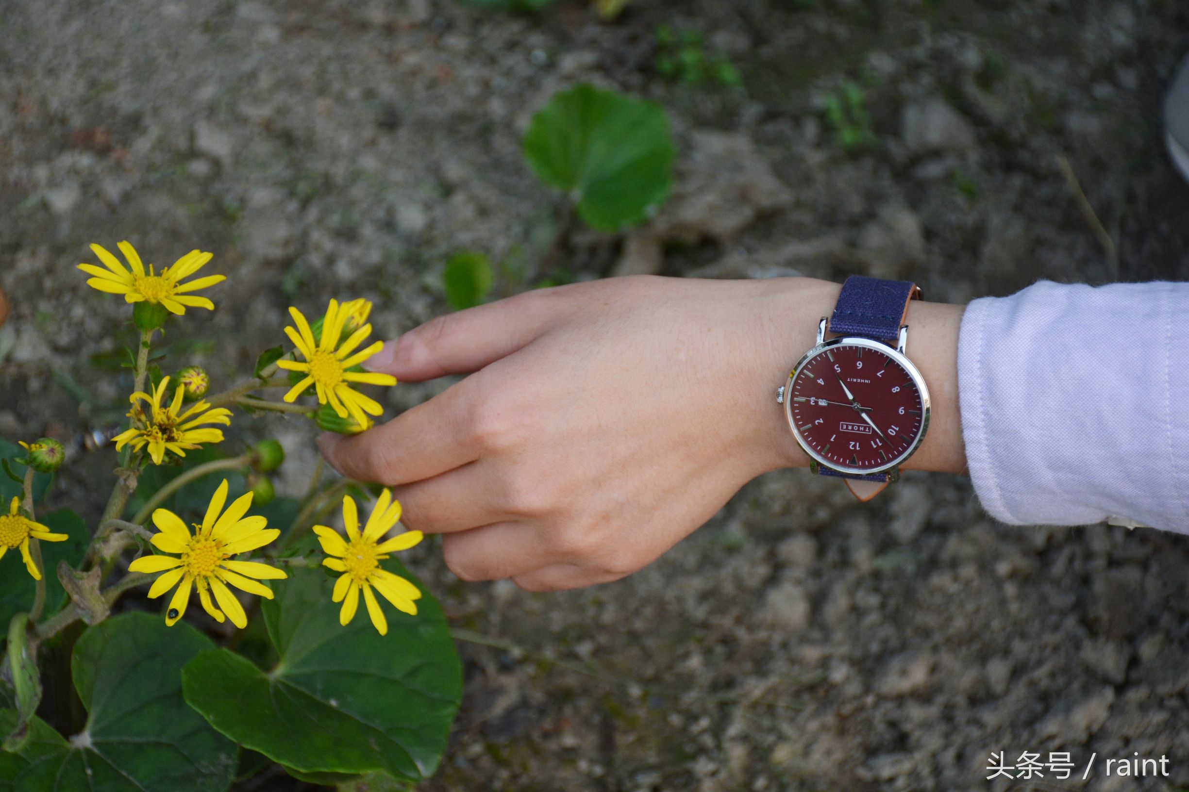 性价比高颜值高的男表,高性价比轻奢男表