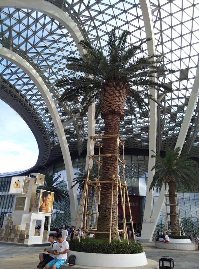 预支一段未来的旅行,带着父母去度假——三亚