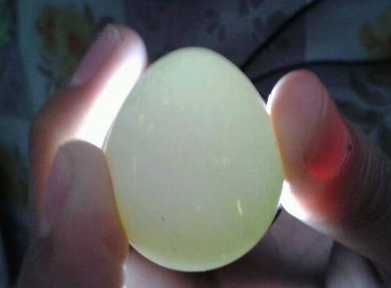 乌龟蛋能直接孵出小乌龟吗,乌龟蛋怎样才能孵出小乌龟