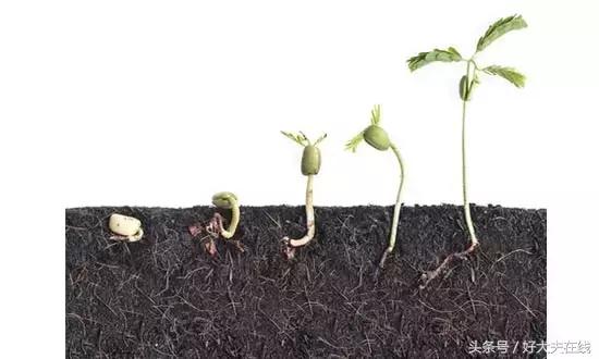 怀孕期间见红一定是流产吗,身上见红会流产吗