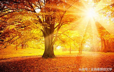 用微笑走出自己的路,用微笑征服一切