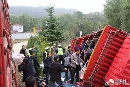 三分钟法治新闻100条,法治三分钟知天下