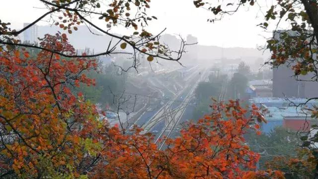 昌平公园的风景,北京昌平滨河免费公园