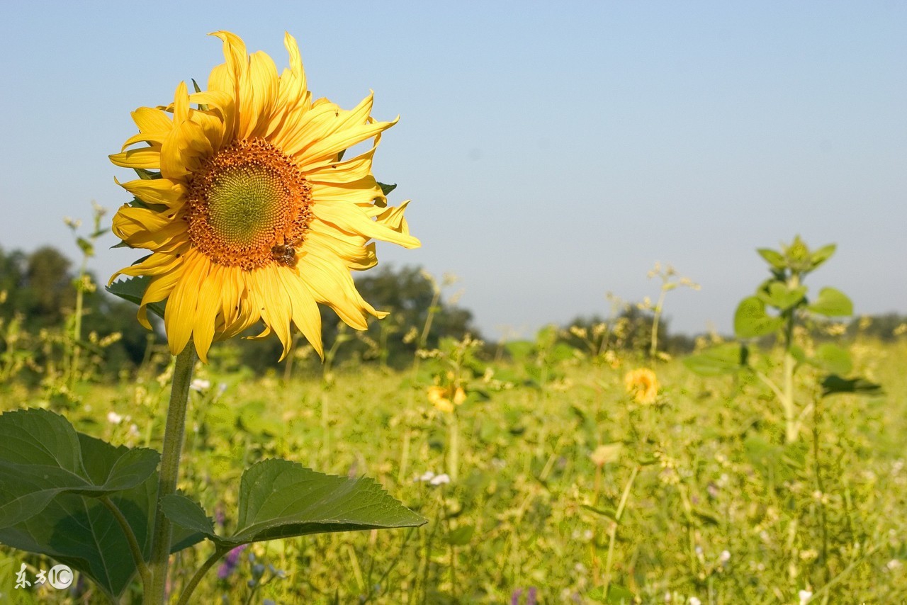 瓜子，你吃对了吗？