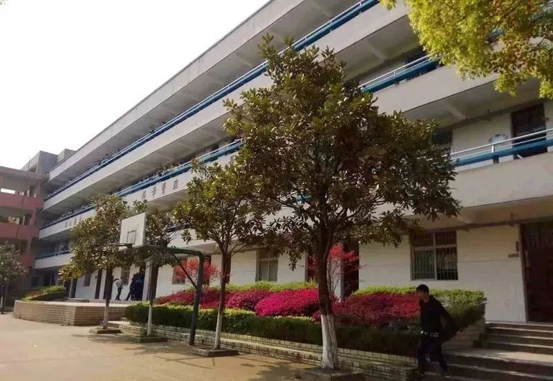 匆匆那年怀念学校,匆匆那年校园回忆