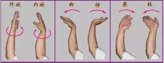 怎么才能正确的正手发力羽毛球,羽毛球基本握法及发力技巧