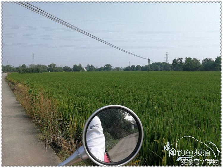 国庆节的来历,国庆头像