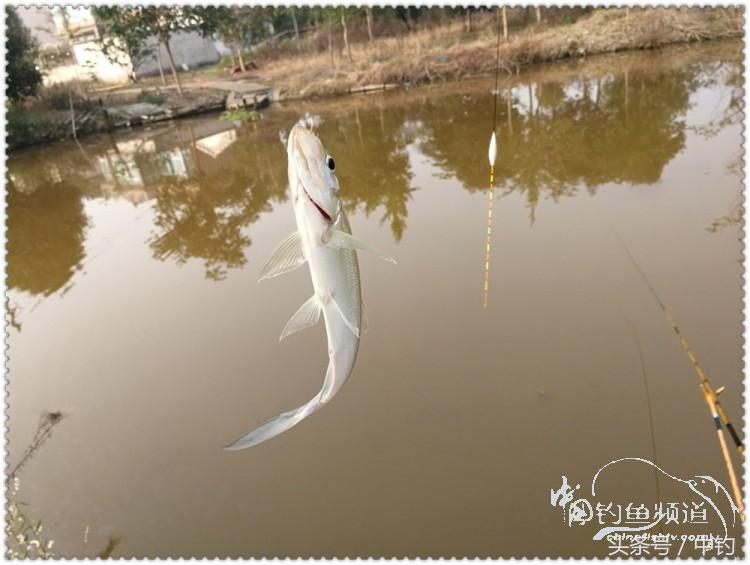 国庆节的来历,国庆头像