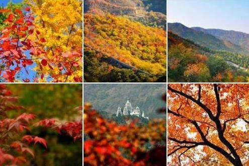 金秋红叶来袭，你的硬顶敞篷小跑准备好了吗？