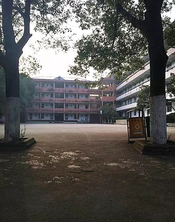 匆匆那年怀念学校,匆匆那年校园回忆