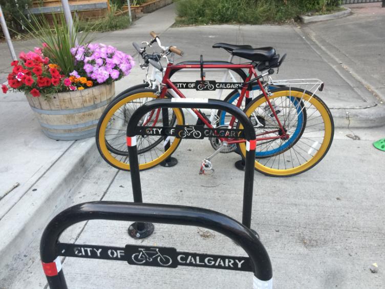 来加拿大埃德蒙顿跑马拉松的四个理由