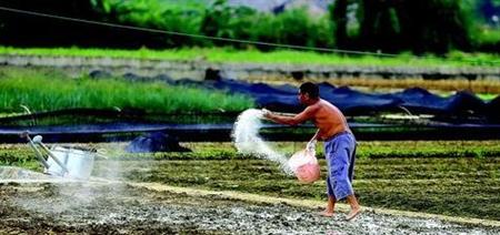 「红日商学院」石灰氮是什么？在农业上如何使用？