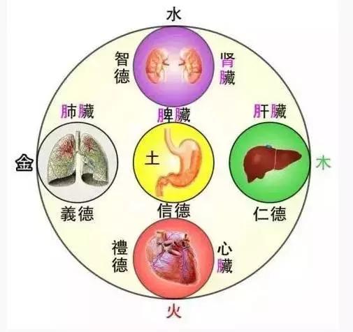 不懂中医五行,不懂五行术数谈何养生