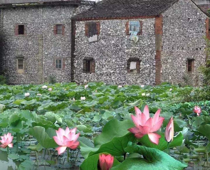 广东英德古镇排名,英德各镇实力排名