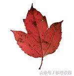 甘肃农业大学宣传片完整版,甘肃农业大学校园风景视频