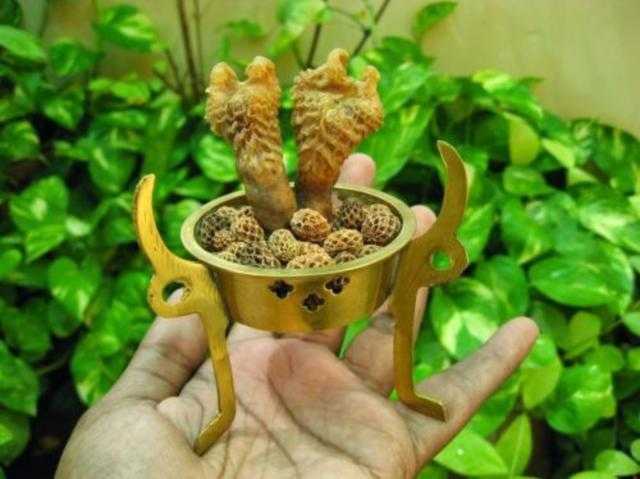 15个冷知识是什么,这15个心理学冷知识91%的人不知道