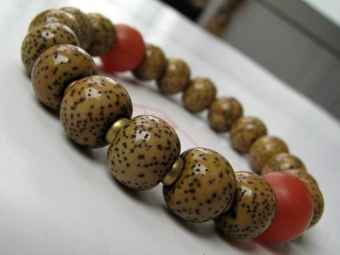 云南星月菩提产地是哪里,星月菩提哪里的产地最好