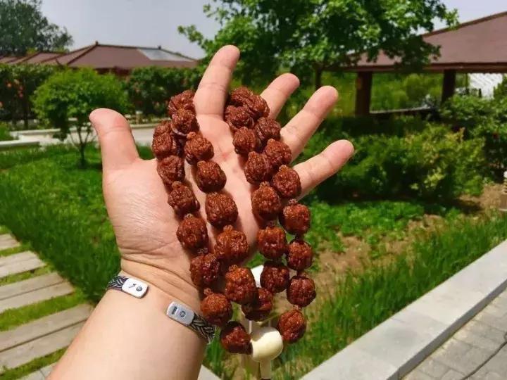 怎么挑选一串极品野生小核桃手串,野生核桃和普通核桃手串