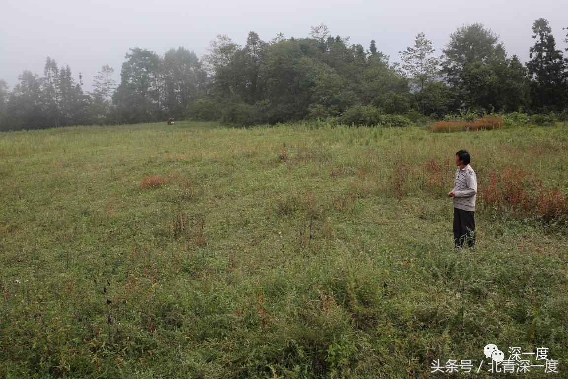 “鹿晗”在泥坑，妈妈在远方，你习以为常的幸福对他们却遥不可及