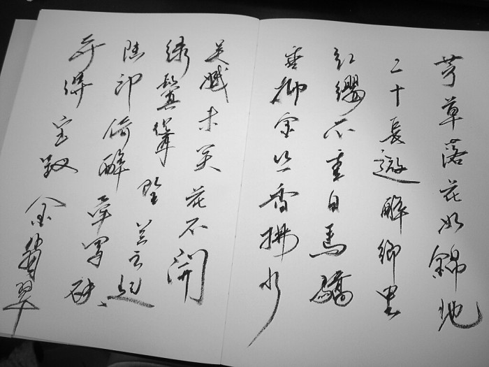 苏东坡人生最难的一句话,苏东坡人生难得几时闲