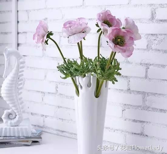 在家怎么插花视频教程,如何正确插花