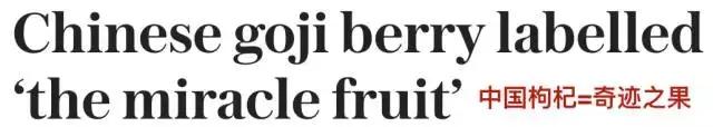 和保温杯组CP的枸杞被老外疯狂打call!还卖到了1000美金!