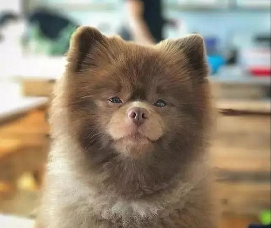 女朋友不高兴怎么解决,自己做错事怎么样让女朋友不高兴