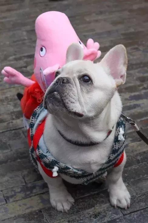 佳能eosm100正式发布,佳能eosm100购买时都带啥