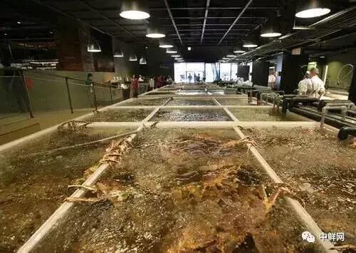 泉州超市水产招商,新鲜海鲜水产超市