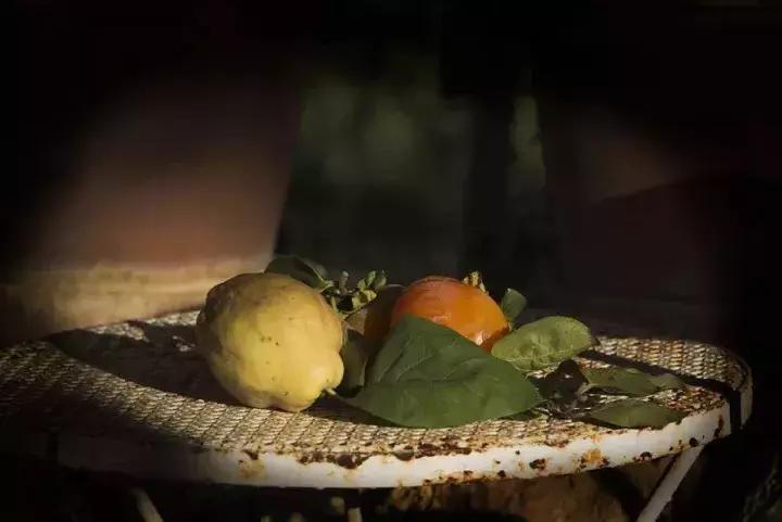 渡边淳一最值得看的作品,渡边淳一的双面人